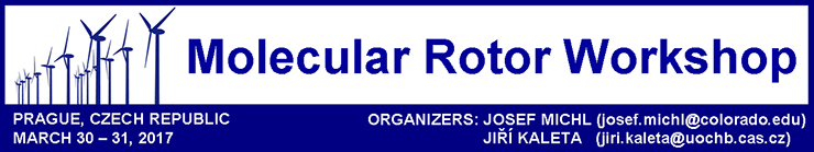 Molecular Rotor Workshop 2017